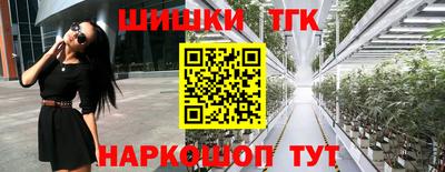 молекула духа Гатчина