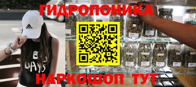 молекула духа Гатчина