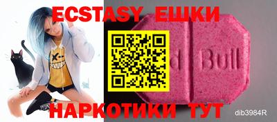 крисы Гагарин