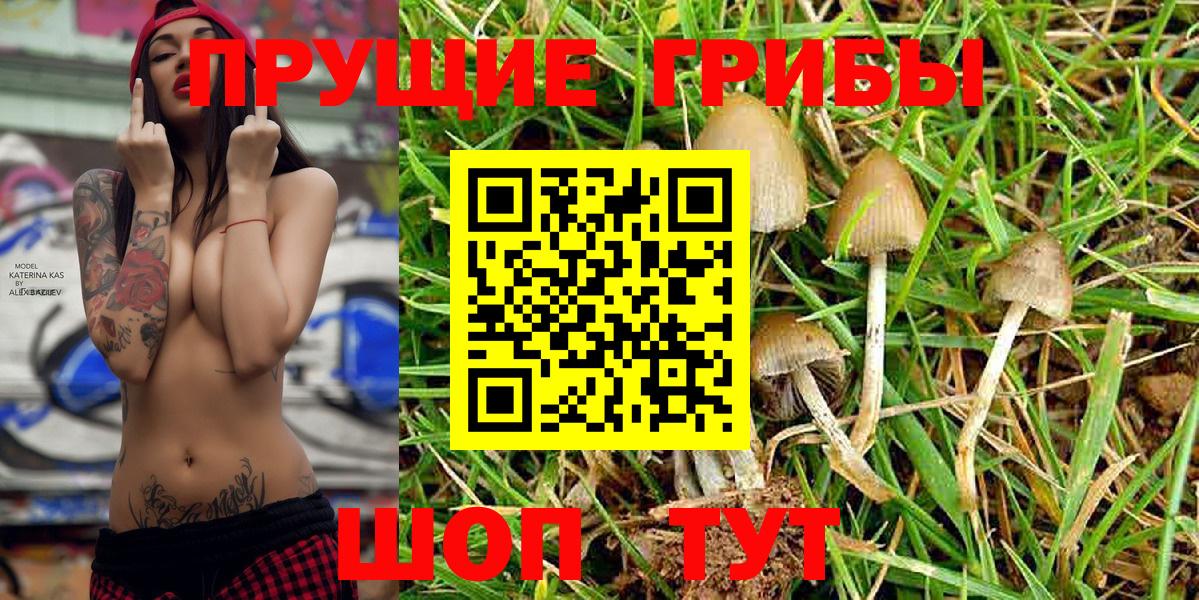 Галлюциногенные грибы Cubensis  Вход с VPN  Галлюциногенные грибы Psilocybe  Конаково 