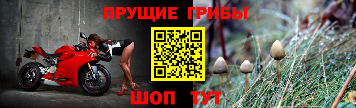Галлюциногенные грибы Cubensis Конаково